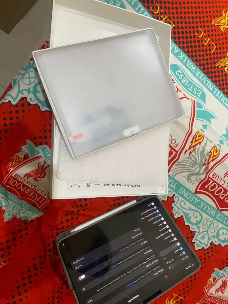 DIJUAL IPAD PRO M4 11 INCH CYCLE 30