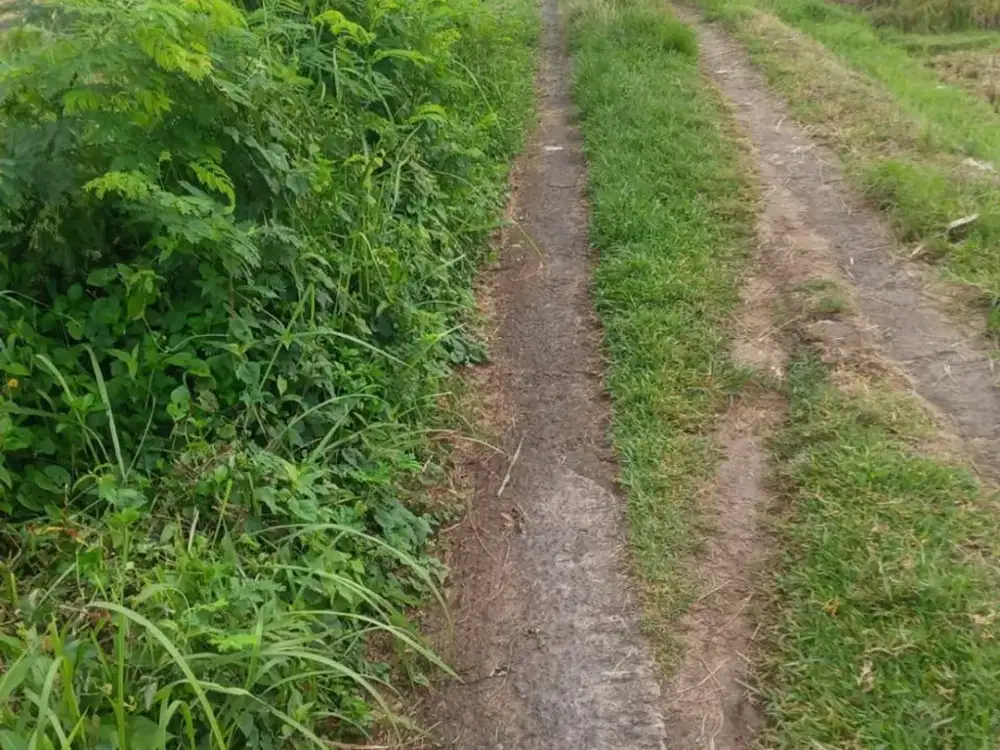 Dijual Tanah di Kawasan Tegal Mengkeb, Selemadeg Timur - Tabanan,