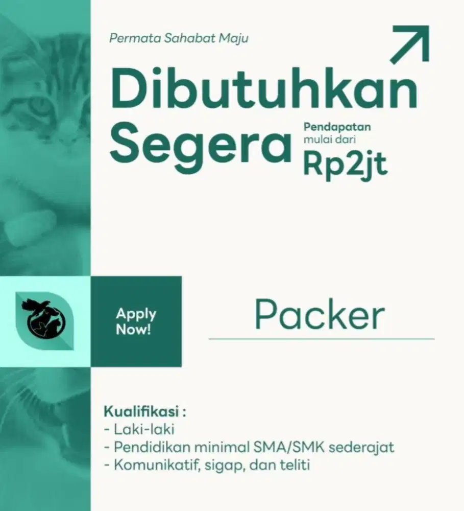 LOWONGAN KERJA, DIBUTUHKAN SEGERA KASIR & PACKER