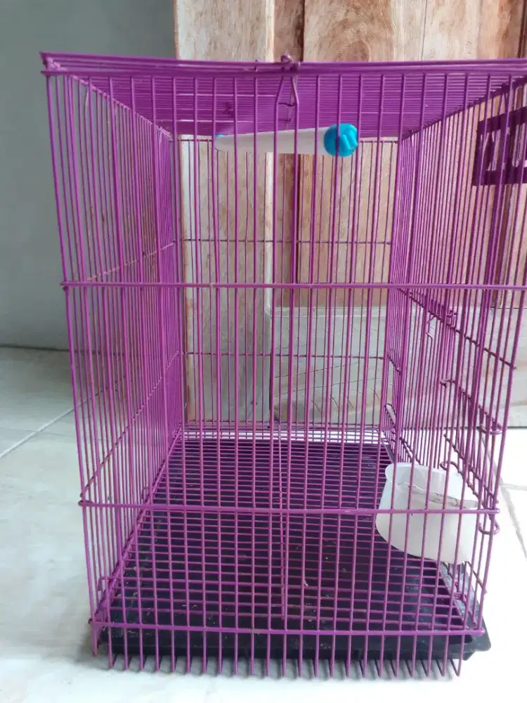 Dijual kandang sugar glider