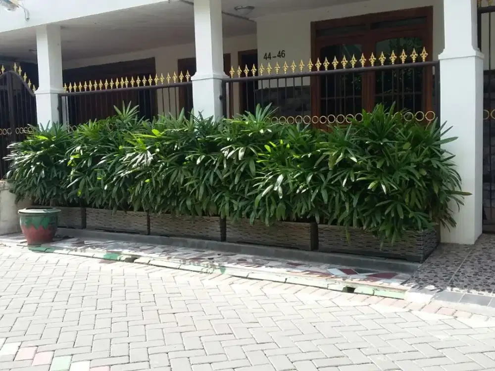 Rumah 1 Lantai Jalan Tanjunghulu GKB Kota Gresik Siap Huni FULL FURNIS