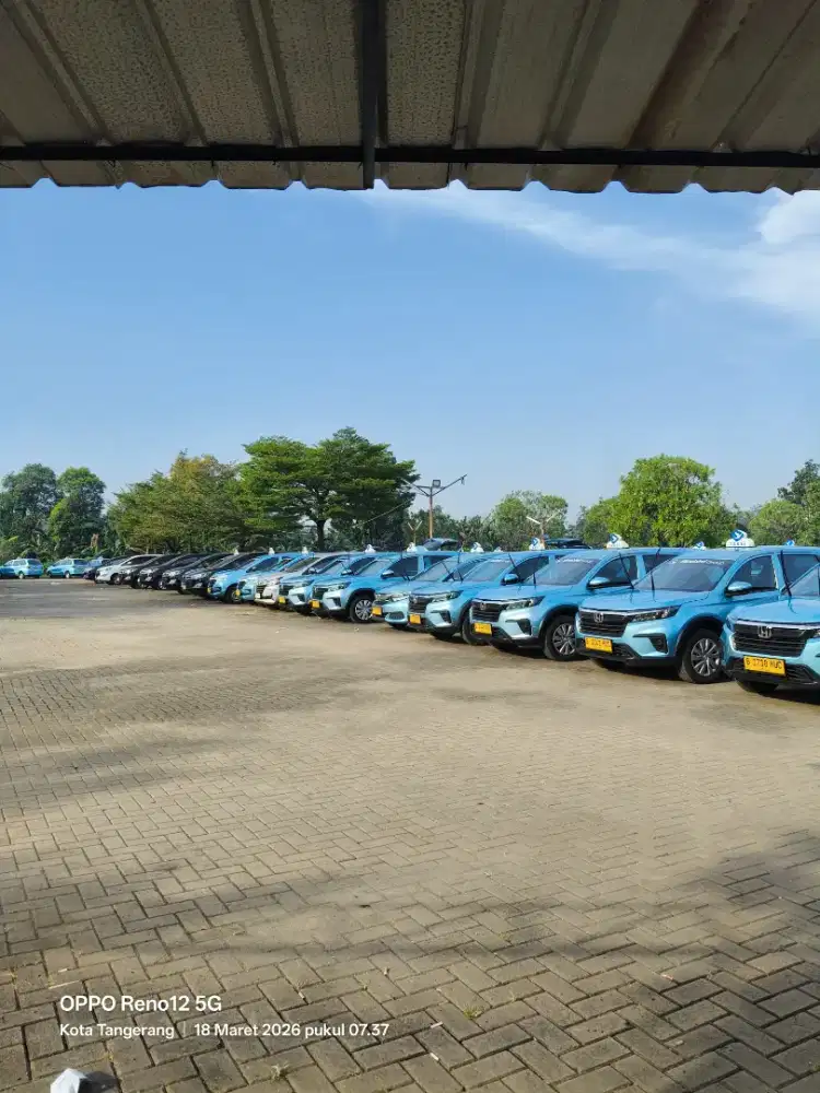 Lowongan Kerja Driver Bluebird - Pool Japos Ciledug