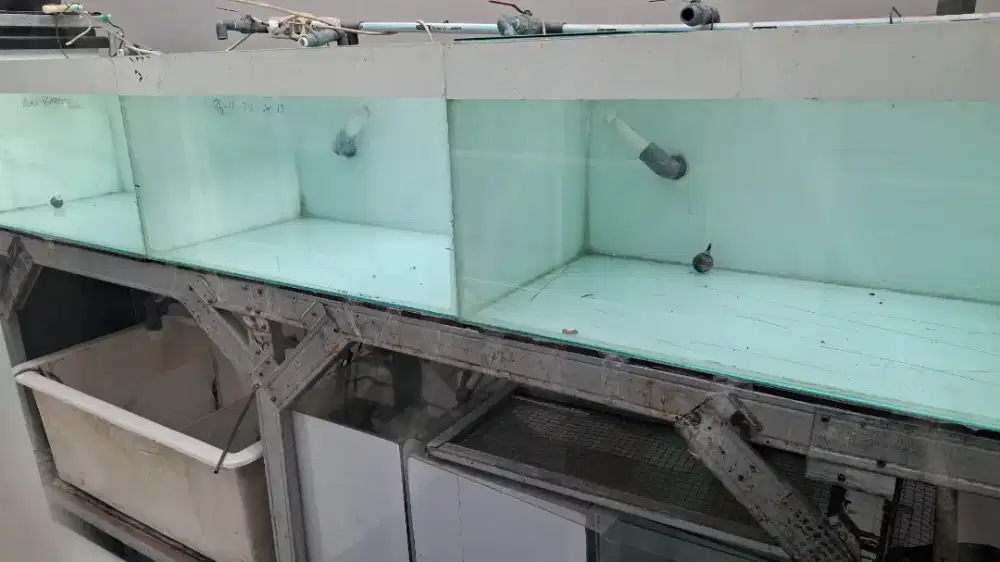Dijual Aquarium ukr 90x50x46