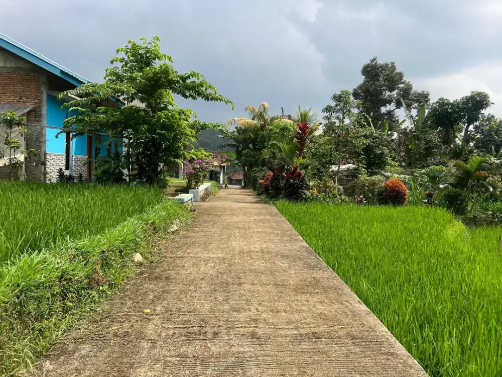 Tanah View Gunung & Dekat Aliran Sungai Jenawi Karanganyar