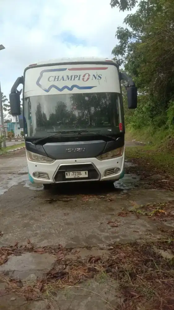 Bus Medium Isuzu NQR71 Long 2018