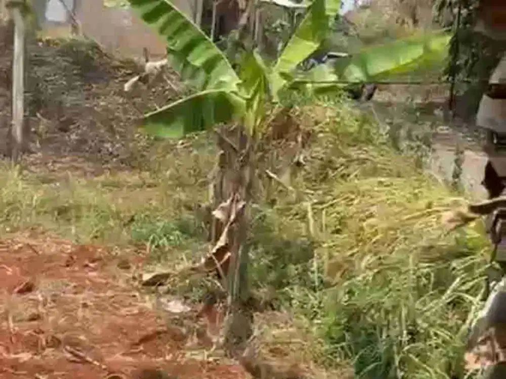 DIJUAL TANAH KAVLING DI CIANJUR SHM