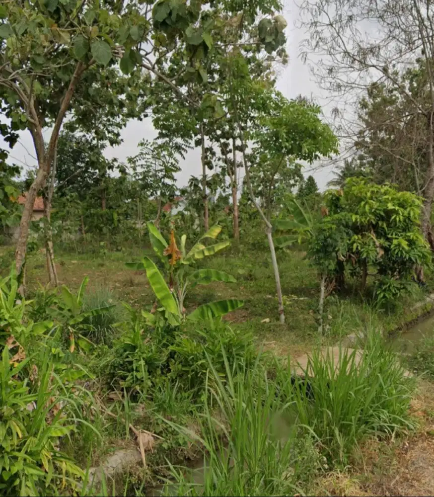 Di Jual Tanah di tengah Kota Metro, Lampung