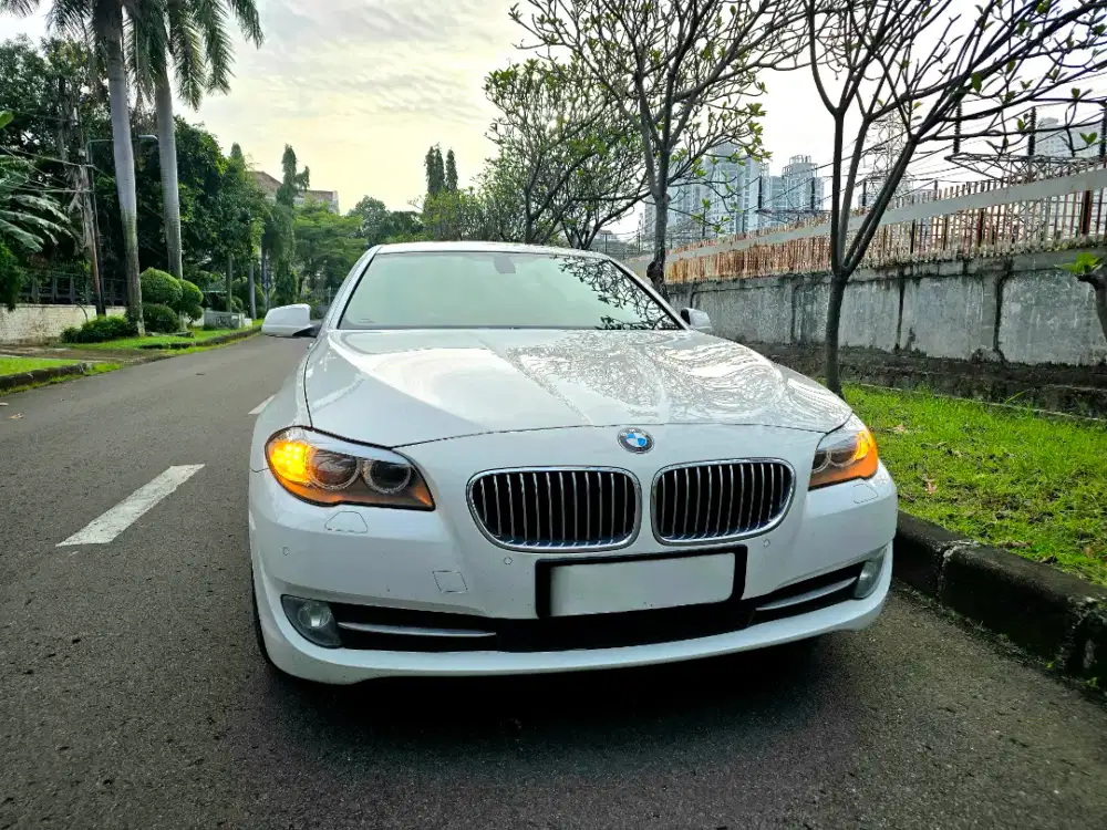 BMW F10 520i LUXURY 2012