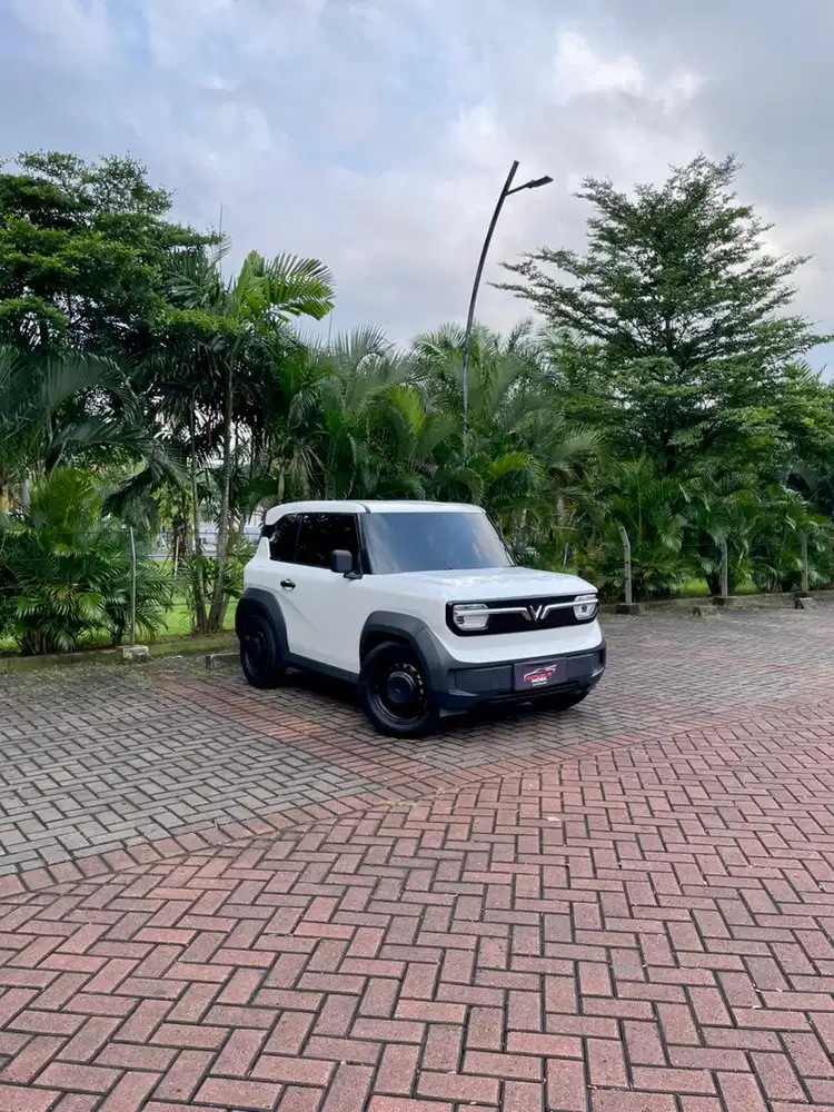 [Odo 4rb] Vinfast VF3 (4x2) AT 2025