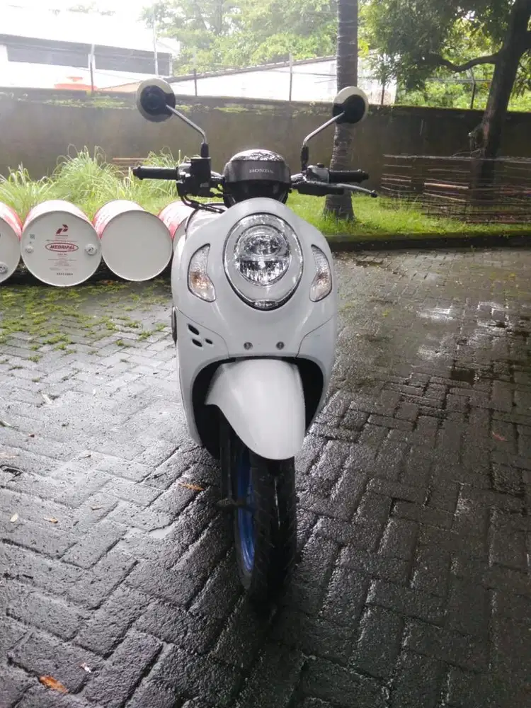 honda scoopy 2021