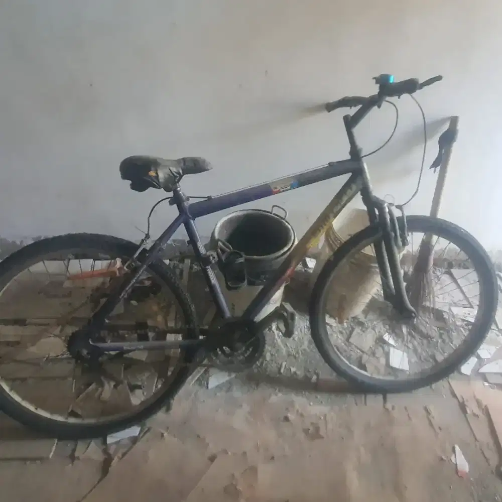 Sepeda gunung Aloy wimcycle