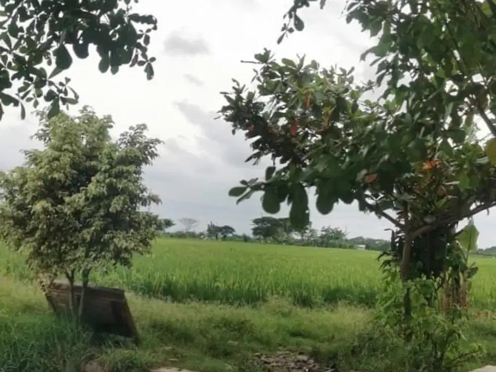 Tanah Luas  Cocok Untuk Perumahan Di Bekasi Jawa Barat