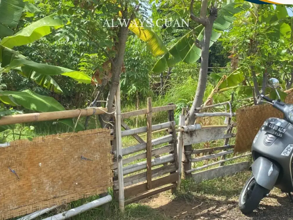 Dijual Kavling Siap Bangun Harus Laku Bulan Ini!!