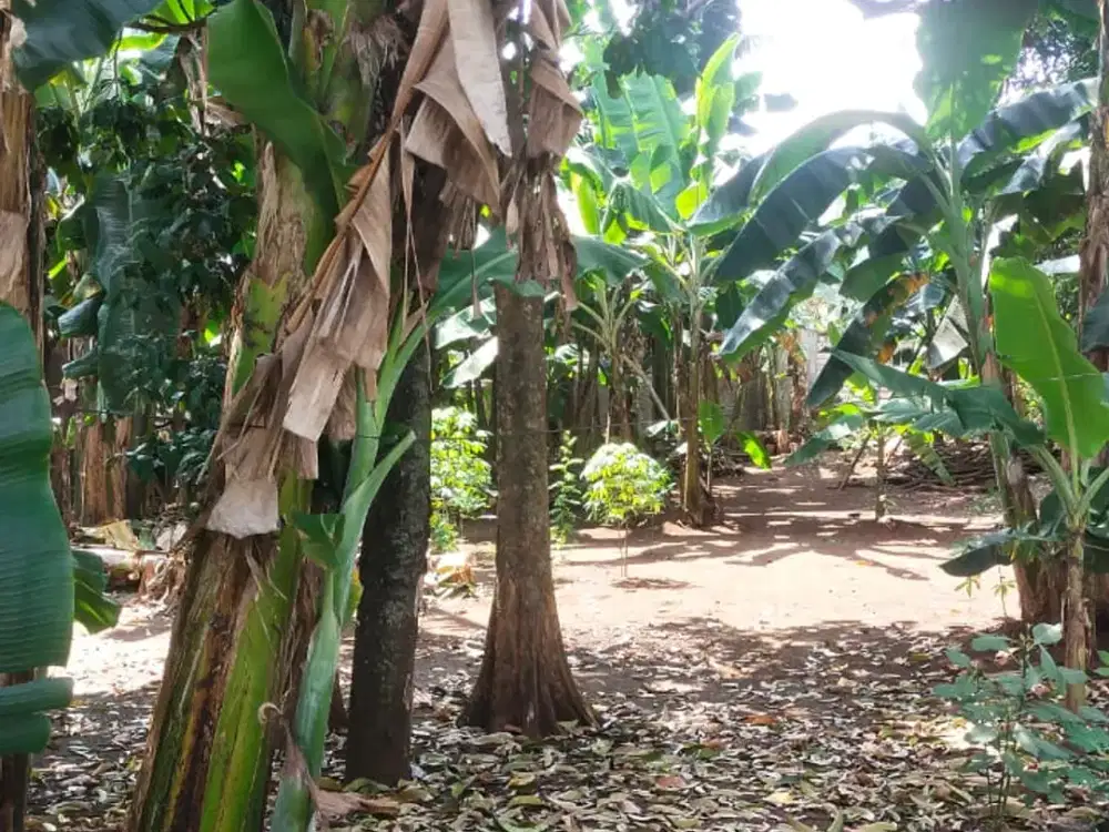 Tanah dijual Murah Siap Bangun, Komsen 3 menit Tol Jatiasih, Bekasi