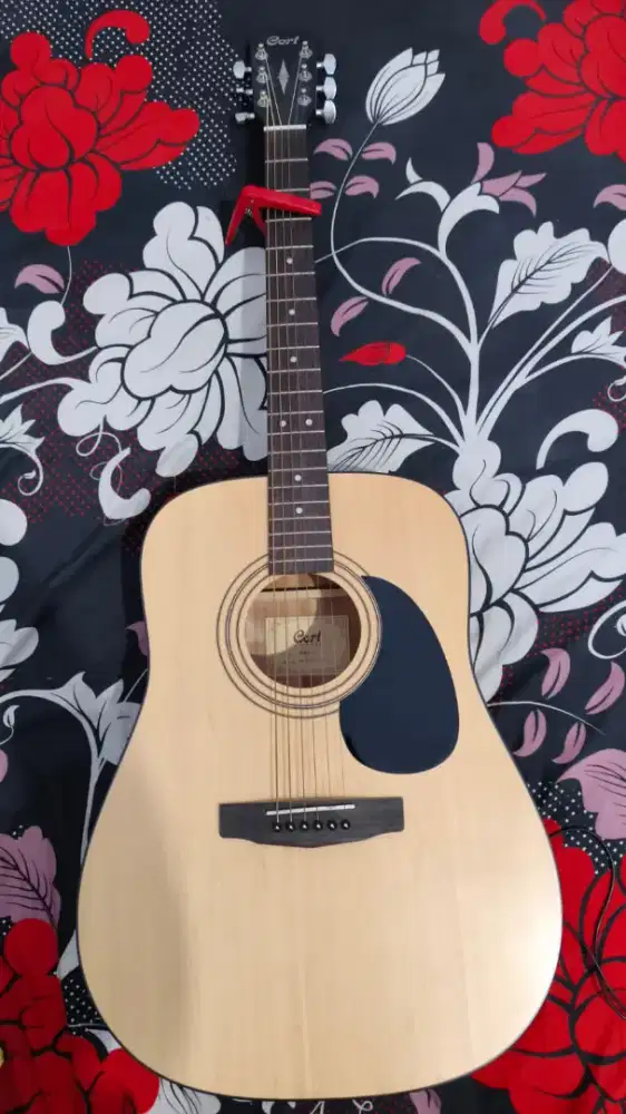 CORT AD 810 , Second Mulus like new