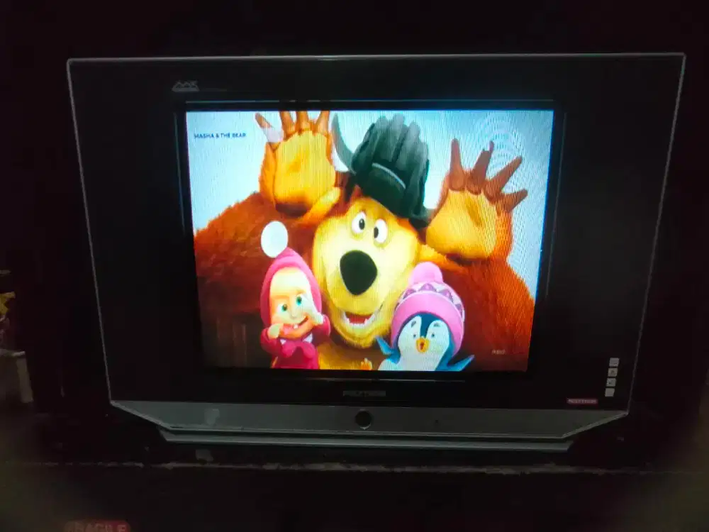 Tv tabung polytron, 21 in