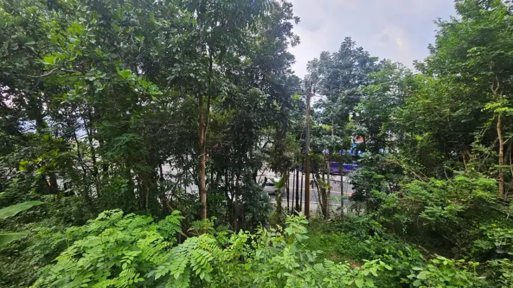 Tanah bagus murah di area bukit bintang Patuk Gunungkidul Yogyakarta