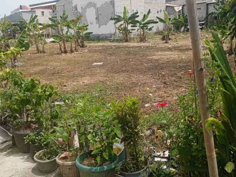 Tanah Di Tugu Selatan Koja Jakarta Utara - Kelapa Gading