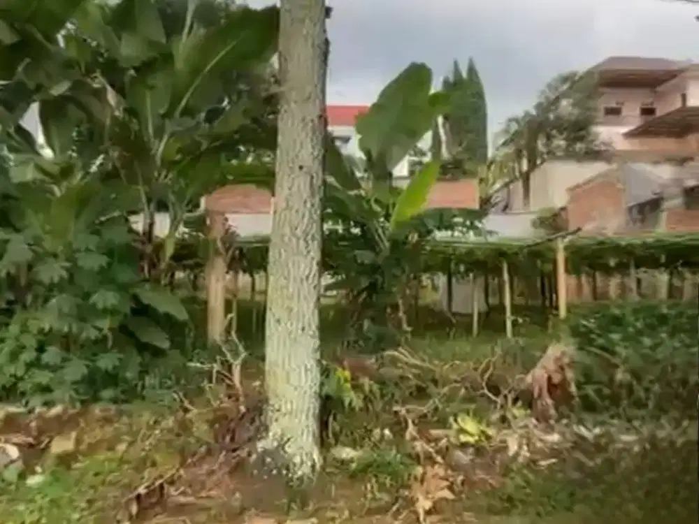 Tanah Kotak di Komplek Perumahan Katumiri Cihanjuang