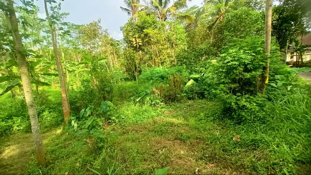 Tanah Strategis Boyolali