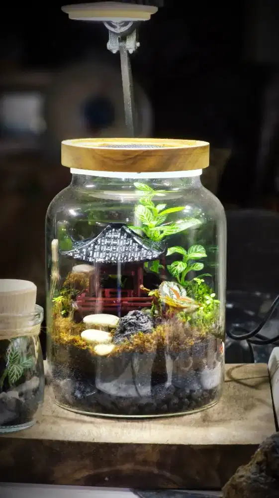 Faludarium toples sedang u's