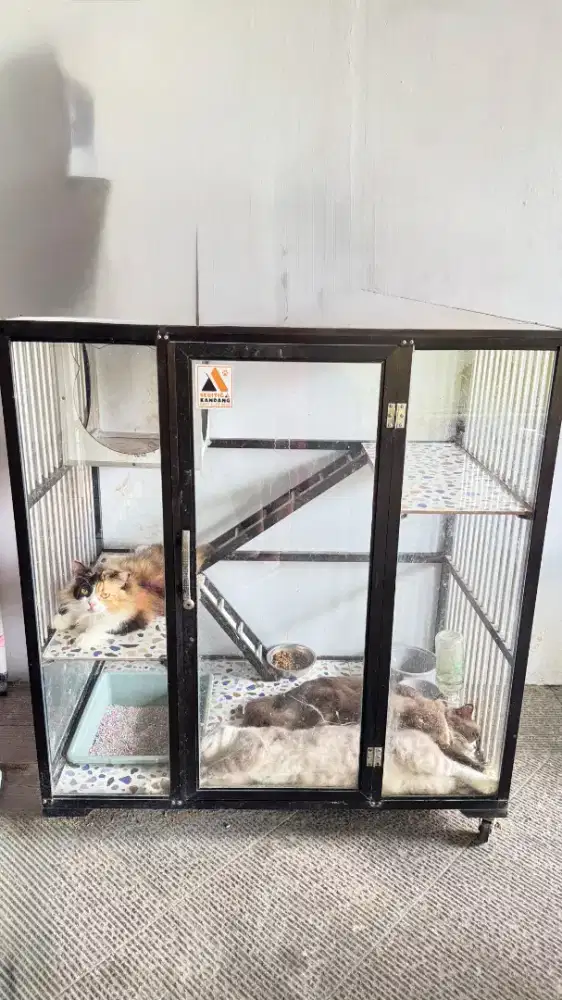 Jual serius Kandang kucing kokoh Siap pakai