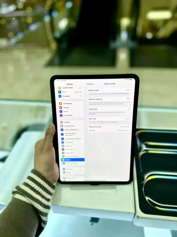 iPad Pro M4 512GB Grey 11-inch (2024) WiFi Only ex Garansi Resmi iBox