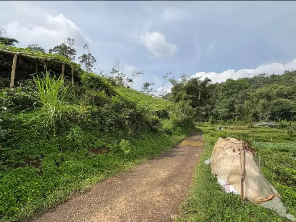 DIJUAL TANAH LUAS MURAH DI CIWIDEY DAERAH WISATA LOKASI SEJUK