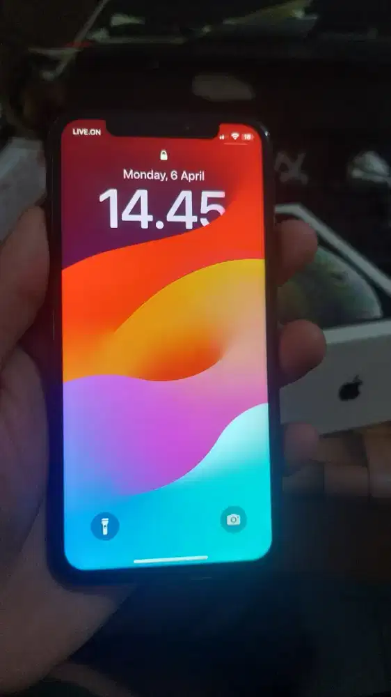 iPhone XS 256 GB Inter