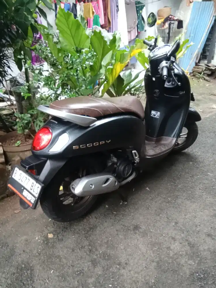 Honda Scoopy th 2024