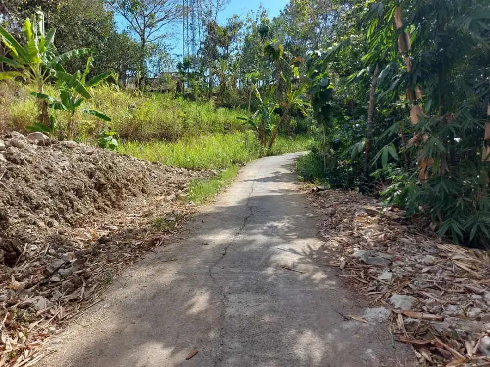 Tanah Jogja Strategis Dekat Puskesmas Dlingo Pleret