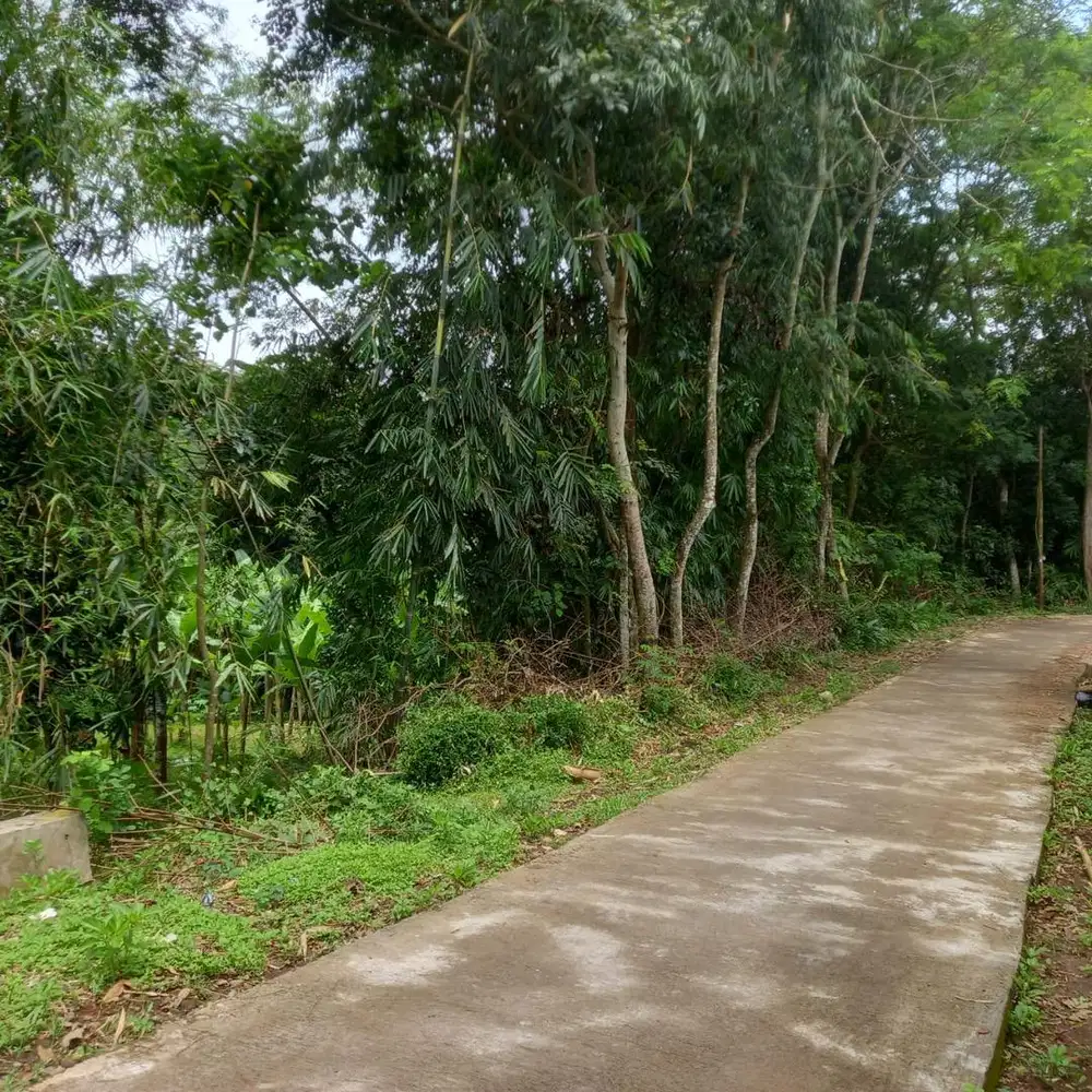 DIJUAL CEPAT TANAH 1590M2 SHM KR.ANYAR SOLO JATENG, TANPA PERANTARA.