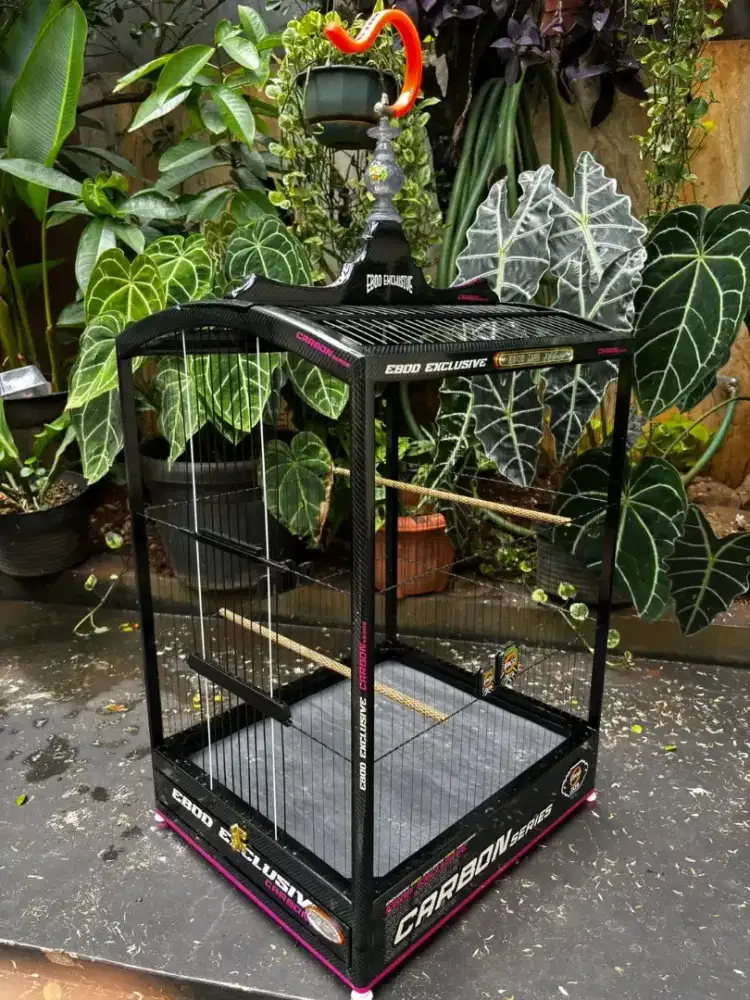 sangkar/ kandang kotak ebod ruji senar