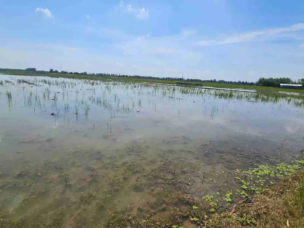 DI JUAL TANAH 
KEL. : TRUNI
KEC. : BABAT
KAB  : LAMONGAN