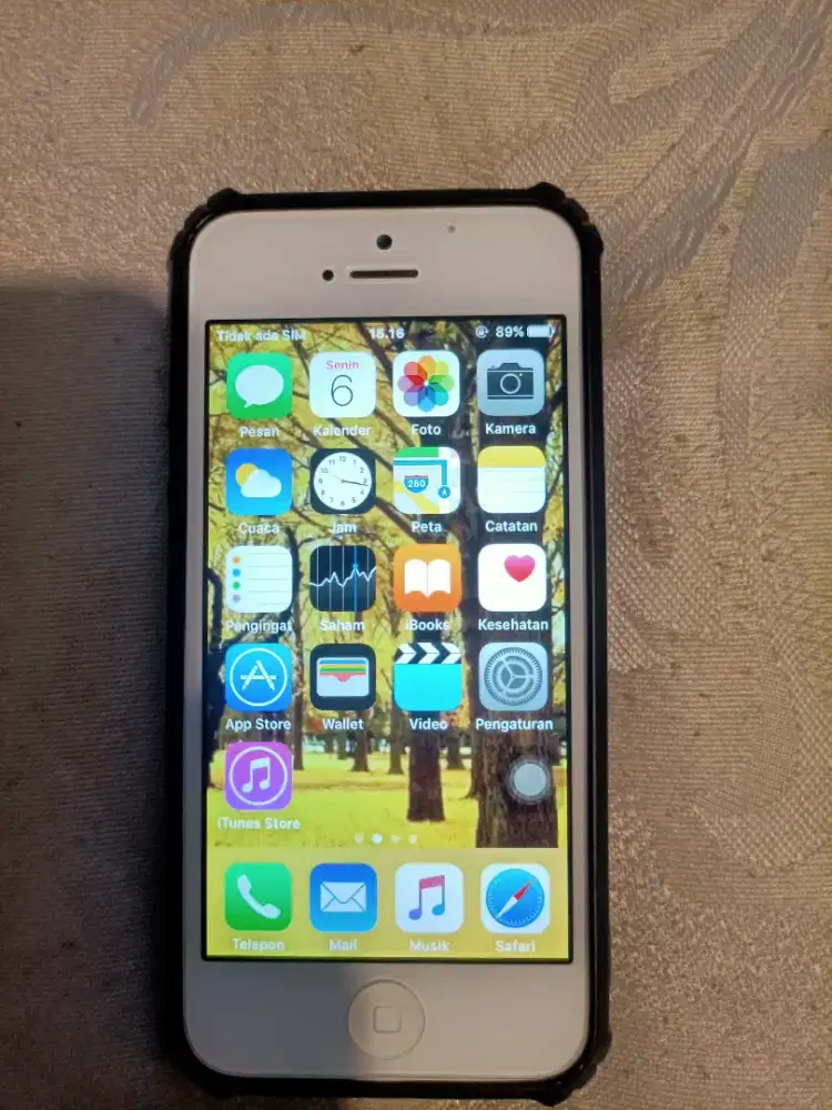 Dijual iphone 5g 64gb, masih original, ios 10