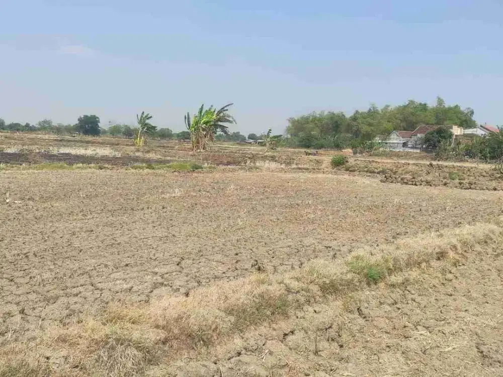 DI JUAL TANAH 
KEL. : SARIREJO
KEC. : SARIREJO
KAB  : LAMONGAN