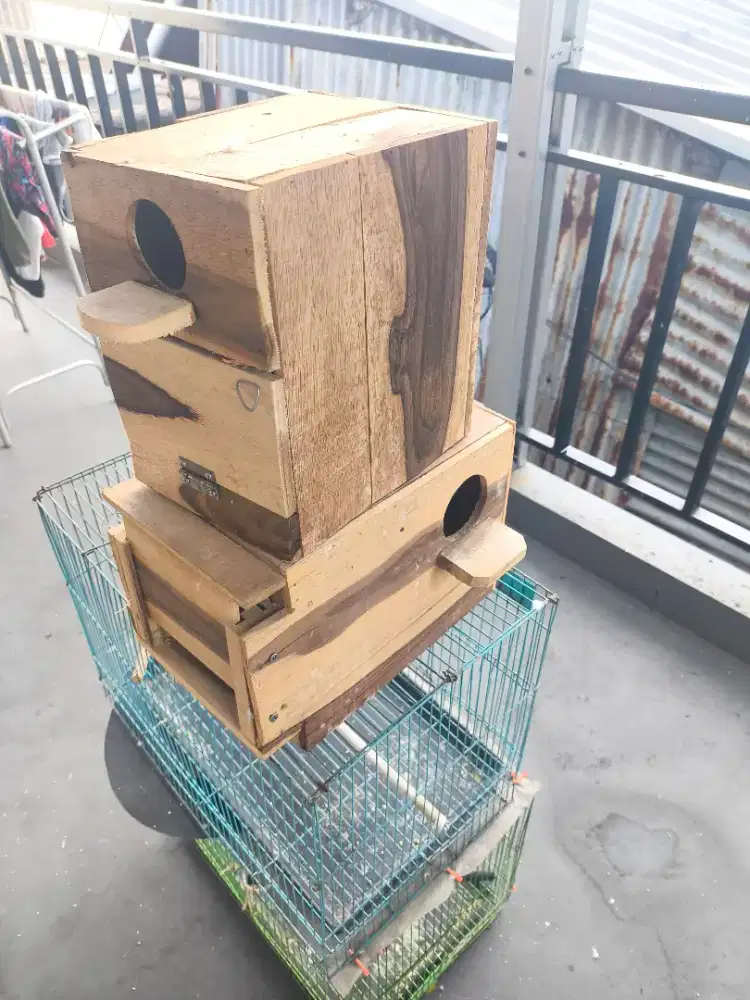 Kandang besi ukuran 50 cm