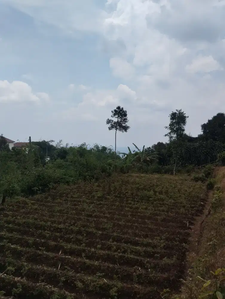 Tanah Murah View Gunung Salak Tamansari Bogor Akses Mobil 1.356m²