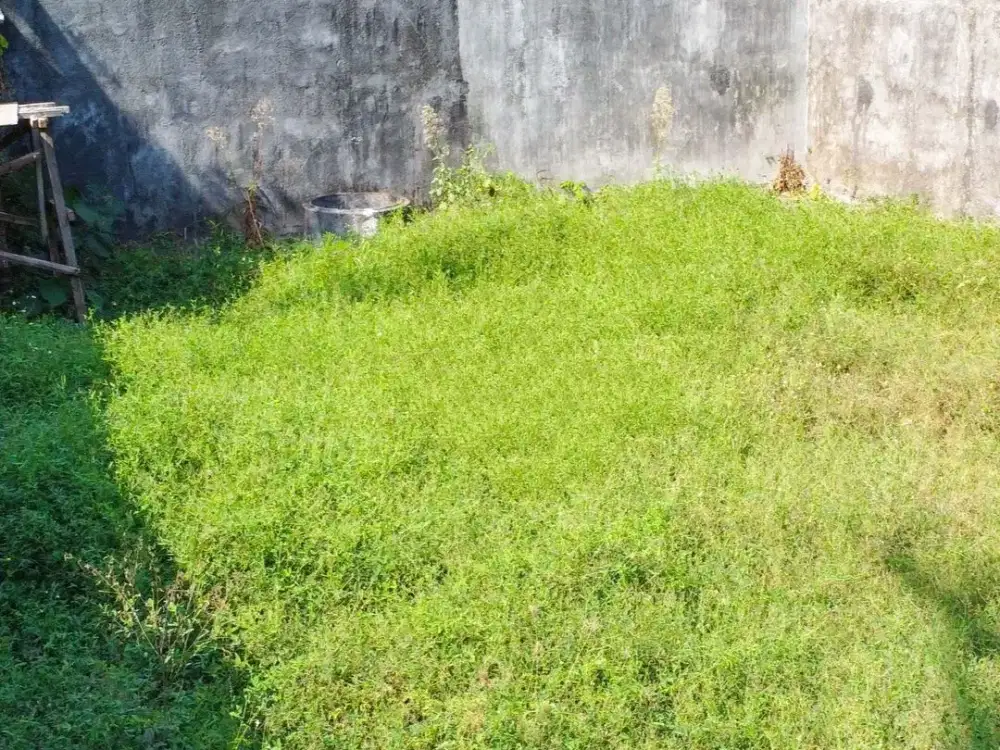 Dijual Tanah Tengah Kota di Jl. Kaliurang Sleman Yogyakarta