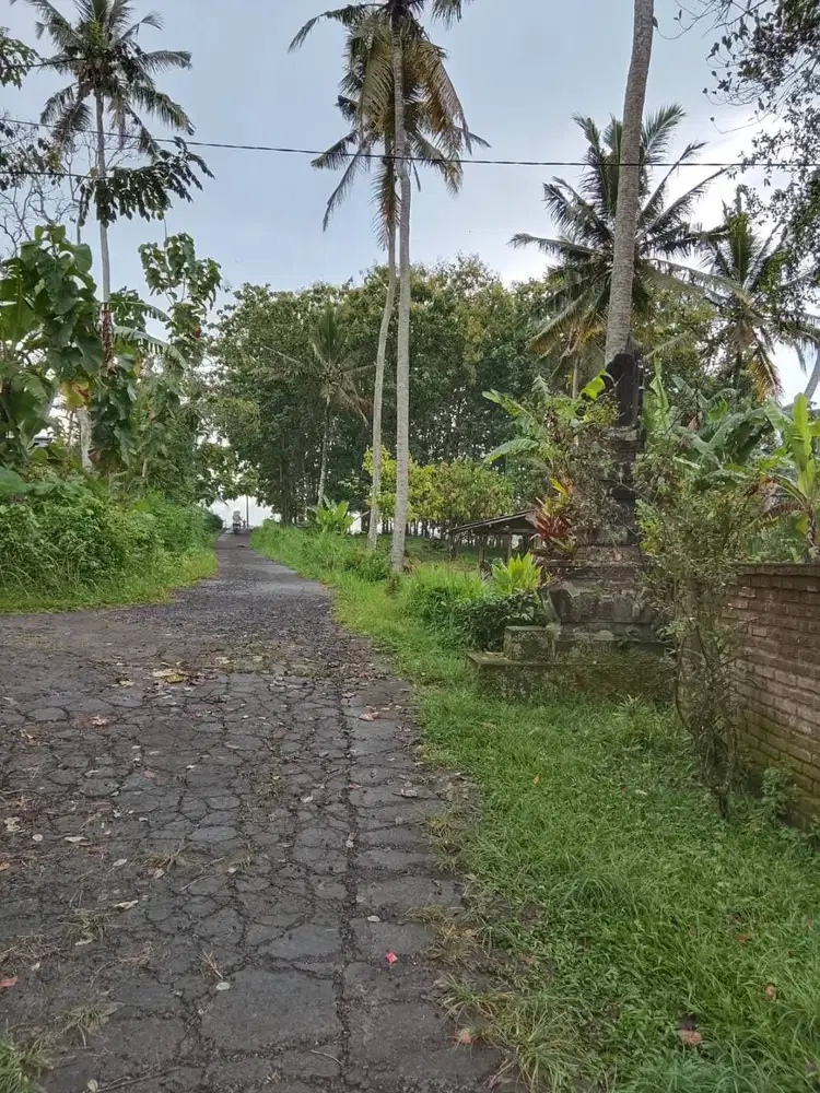 DISEWAKAN TANAH 28 ARE + RUMAH BARU VIEW SUNGAI – SELEMADEG TIMUR