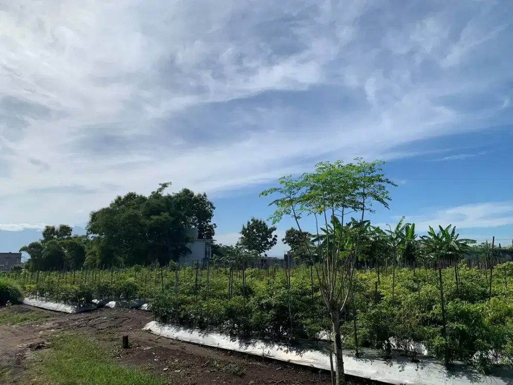 KAVLING COCOK UNTUK HUNIAN SIAP BANGUN KAWASAN PERUMAHAN