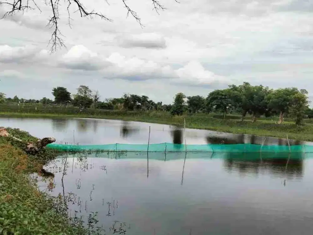 DI JUAL TANAH 
KEL. : LUKREJO
KEC. : KALITENGAH
KAB  : LAMONGAN