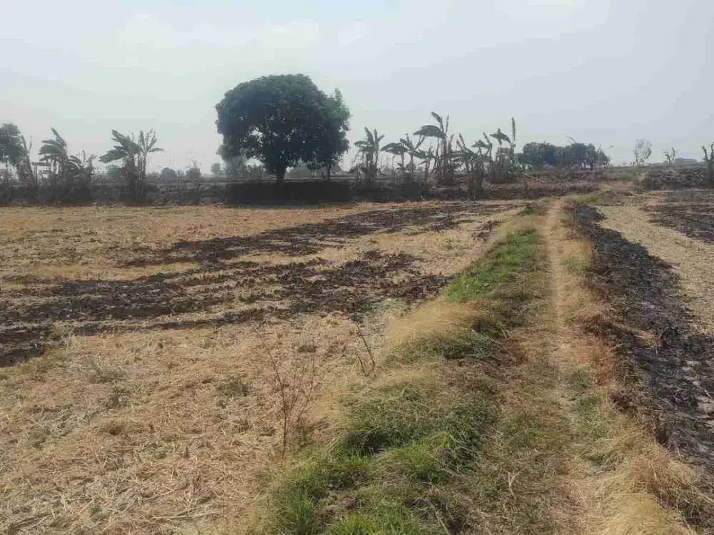 DI JUAL TANAH 
KEL. : DERMOLEMAHBANG
KEC. : SARIREJO
KAB  : LAMONGAN