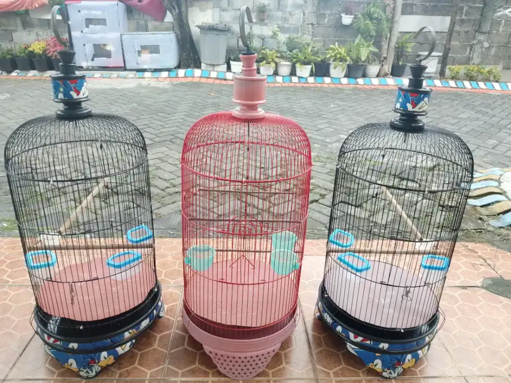 Sangkar lovebird tebok PVC 3 Biji Full Set Kerodong