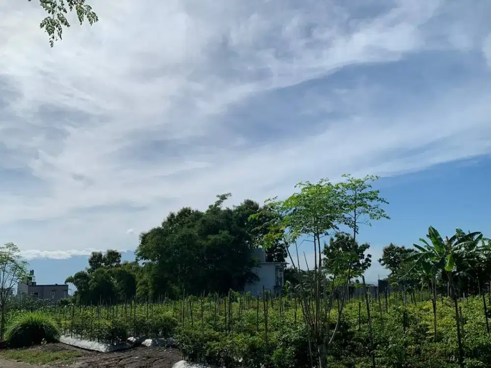 TANAH SIAP BANGUN KOTA MALANG KAWASAN ASRI DAN PERUMAHAN