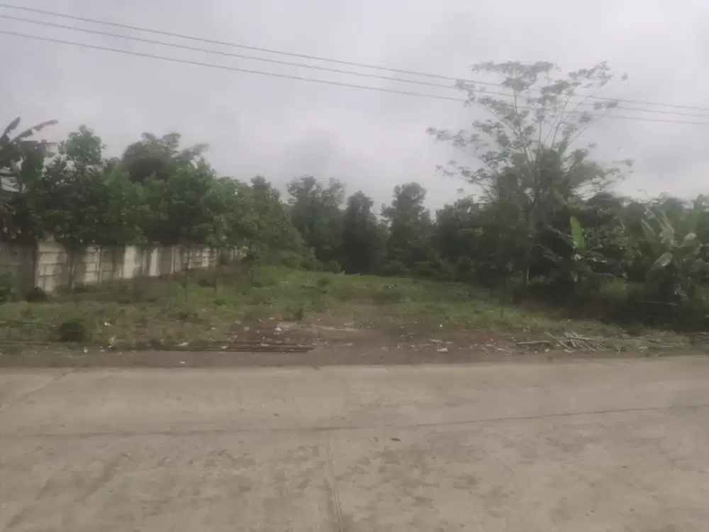 Peluang Investasi! Tanah Luas di Citeras Harga Terjangkau