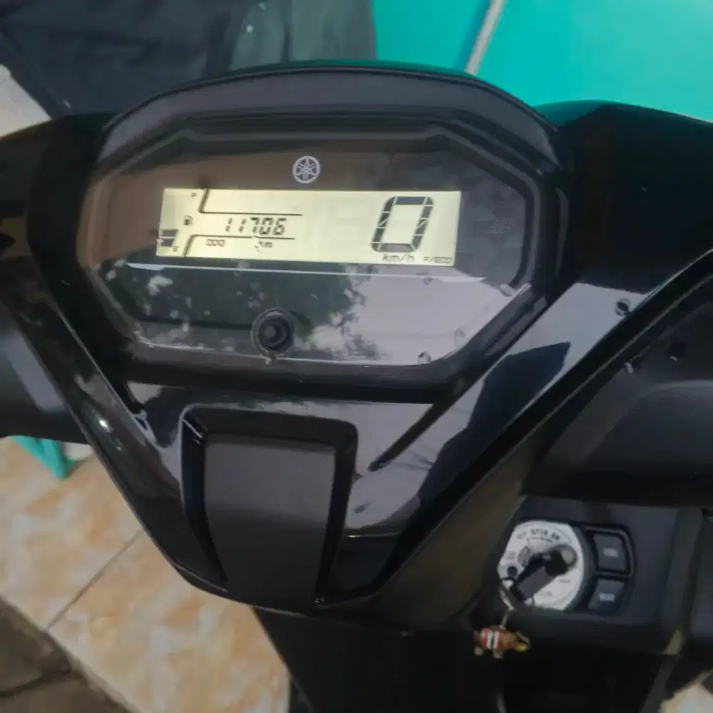 For sale Frrego 2023 mulus