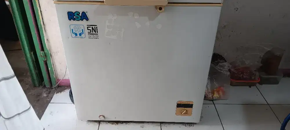 Frizeer box merek rsa 199 l