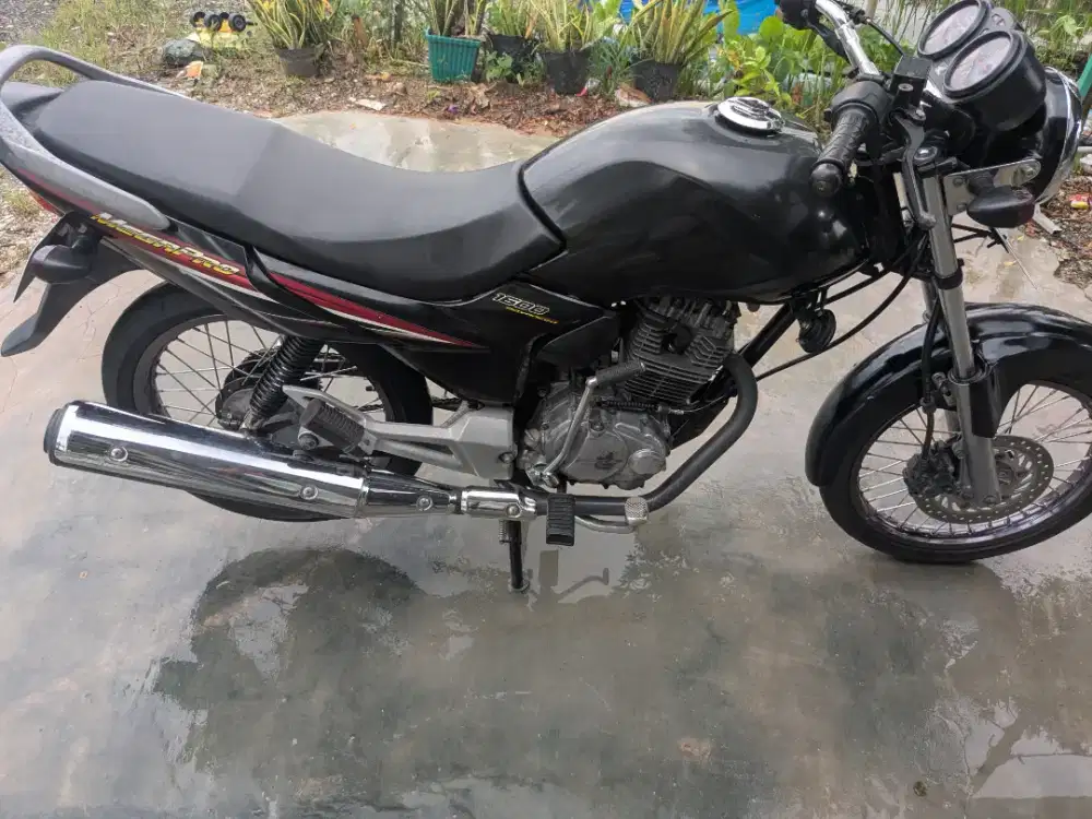 Megapro primus terawat