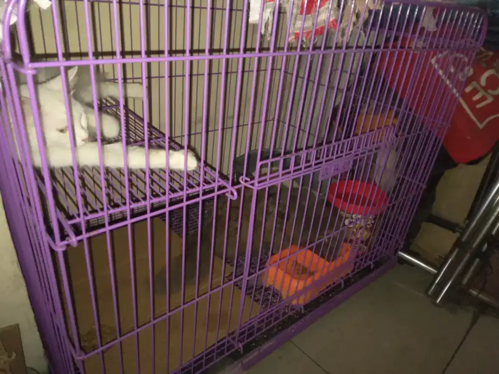 Kandang kucing merk octagon tipe cat 03